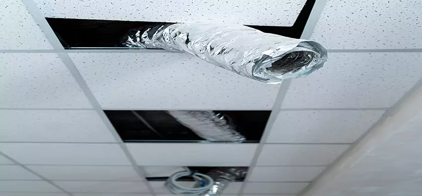 Affordable HVAC Sanitizing After Pest Removal in Benton