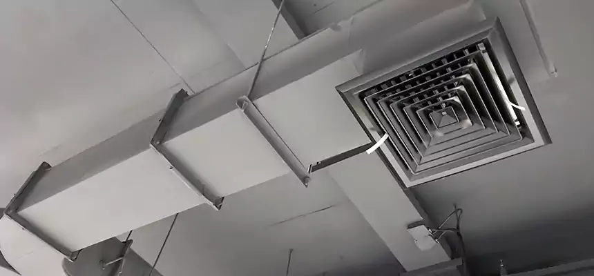 Restorative Allergy Relief Vent Cleaning – Coil, Blower & Housing Detail in Benton