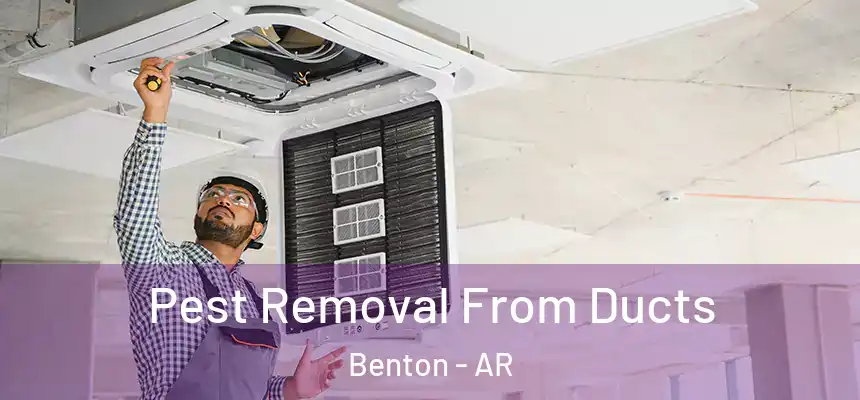  Pest Removal From Ducts Benton - AR