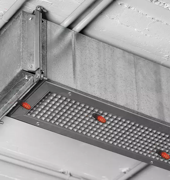 Affordable Insect Removal from Air Ducts in Benton, AR